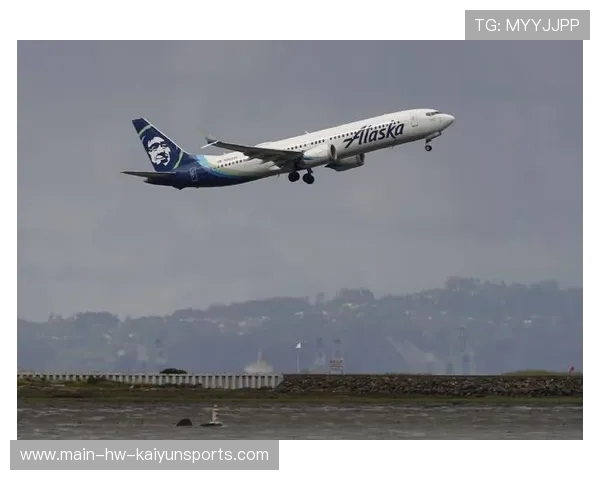 波音、大豆问题持续发酵，商务部回应释放哪些信号？，波音大什么意思